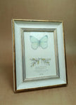 Photo Frame - NG486