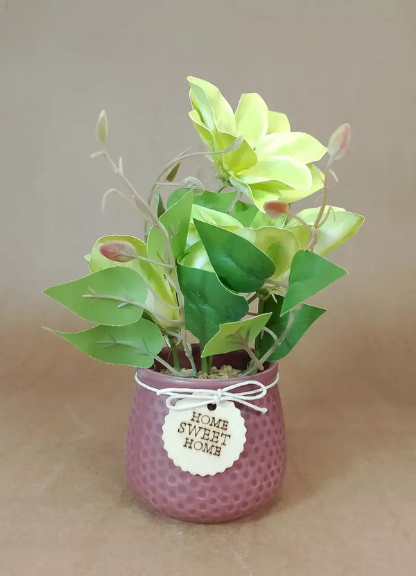 The Potted Succulents (Brown Base) - IT1223