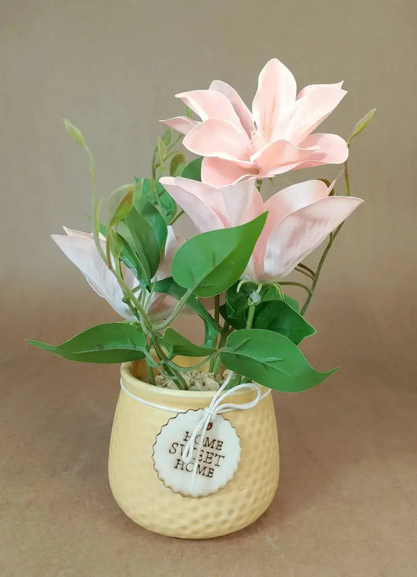 The Potted Succulents (Yellow Base) - IT1223