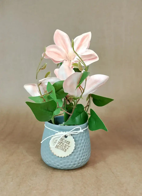 The Potted Succulents (Grey Base) - IT1223