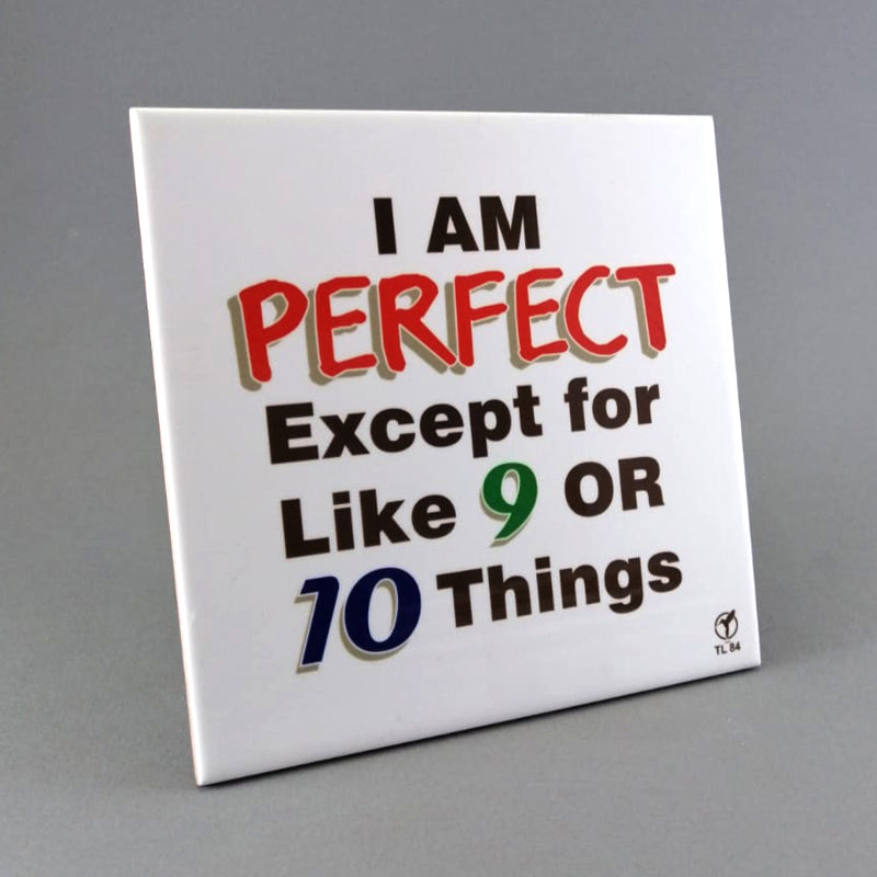 I am Perfect Except for like 9 or 10 things-TLS084